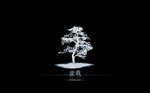 在黑色背景上，一棵發光的白色盆景樹立於霧氣繚繞的底座上，下方有文字。 — 植物 壁紙