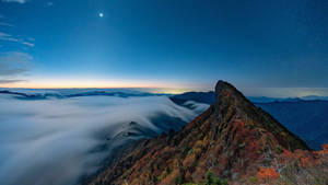 在繁星點點的夜空下，雲海之上有秋樹的山脊。