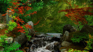 瀑布流經一個茂盛的花園，園內有紅色和綠色的楓樹以及長滿青苔的石頭。 — 日式波浪 壁紙