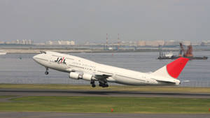 日本航空飛機從海濱附近的跑道起飛，背景是城市天際線。