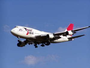 日本航空波音747飛機放下起落架在藍天中降落。