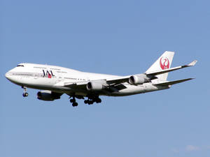 日本航空波音747飛機起落架放下在藍天中降落