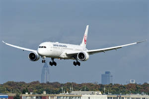 日本航空飛機在秋樹城市上空降落