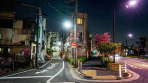 日本夜晚街道，有櫻花樹和發光的街燈。