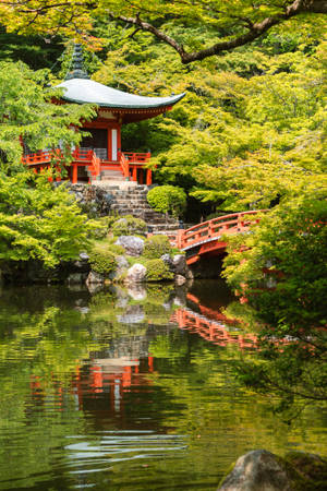 紅色寺廟和橋樑倒映在寧靜的池塘中，周圍環繞著綠樹。