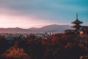 山丘上的寺廟俯瞰日落時分的城市和秋樹 — 日本 壁紙