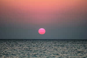 粉紅色夕陽落在平靜的海面上