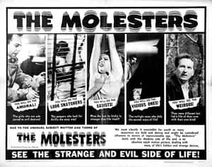《The Molesters》的復古電影海報，警告不道德、虐待狂和怪異的內容。