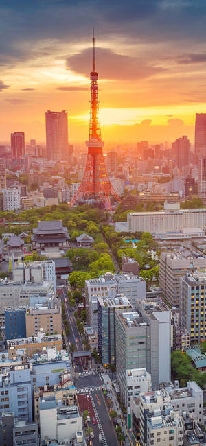 東京鐵塔在充滿活力的夕陽下高聳於繁華的城市景觀之上，點綴著綠色公園和現代建築。 — 日本 壁紙