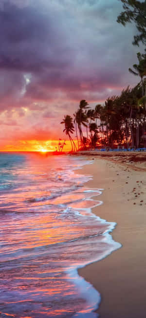 熱帶海灘上的夕陽，有棕櫚樹和拍岸的海浪。
