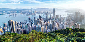 香港城市景觀，摩天大樓同港口喺晴朗藍天下 — 天際線 壁紙