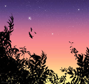 鳥兒飛過繁星點點的暮色天空，以黑暗的樹木剪影為框。