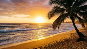 金色夕陽下海洋波浪上的沙灘棕櫚樹