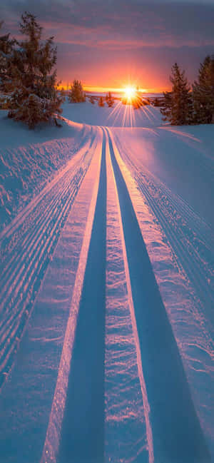 積雪滑雪道通往松樹間閃耀的日落。 — 月色夜空 壁紙