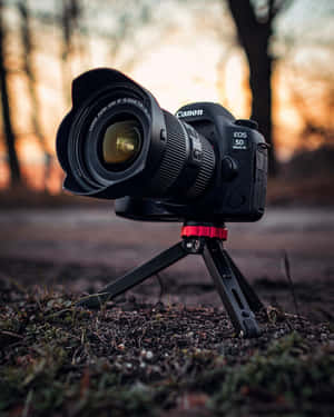 森林三腳架上的Canon相機，黃金時刻