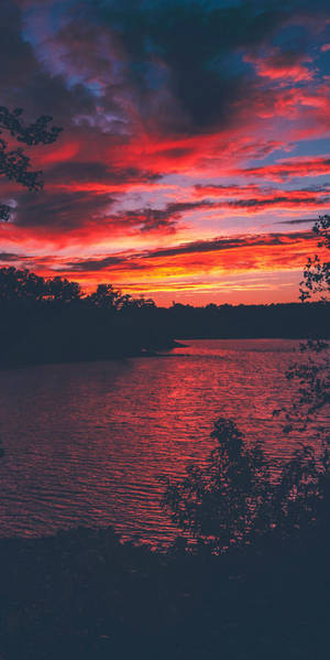 平靜湖面上的鮮豔紅紫色夕陽，帶有樹木剪影