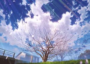 一棵光禿禿的樹在田野中，上方是帶有陽光和雲朵的明亮藍天。