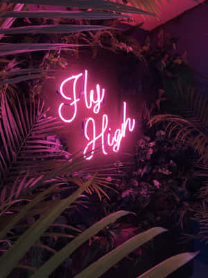 室內被熱帶植物包圍的粉紅色霓虹燈牌，寫著「Fly High」。