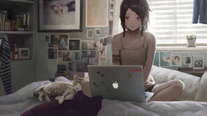 床上的動漫女孩與旁邊睡覺的貓和筆記型電腦