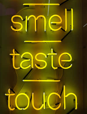 霓虹燈牌以發光的黃色字母顯示單詞 smell taste touch。 — 螢光黃 壁紙