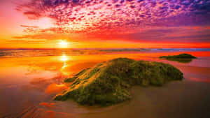 海灘上的夕陽，色彩繽紛的天空反射在濕沙和長滿苔蘚的岩石上。