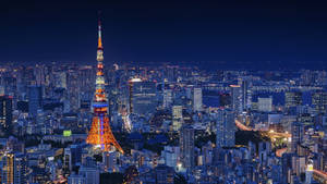夜晚的東京塔亮起燈光，下方城市燈火閃爍。