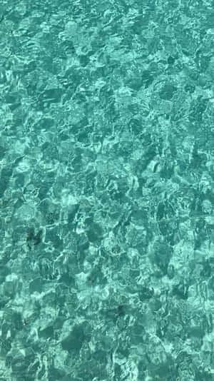 閃爍的碧綠海水，帶有輕柔漣漪和陽光反射。