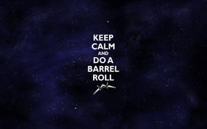 星空夜空，白色文字寫著「Keep Calm and Do a Barrel Roll」，並有一個小型噴射機圖示。