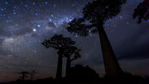 星夜背景 — 暮光 壁紙