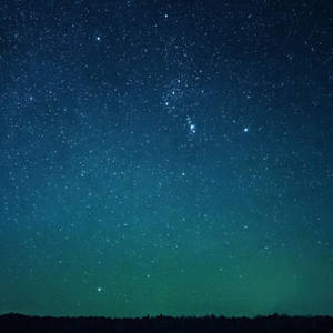一個繁星點點的夜空，綠色極光在森林輪廓上方。