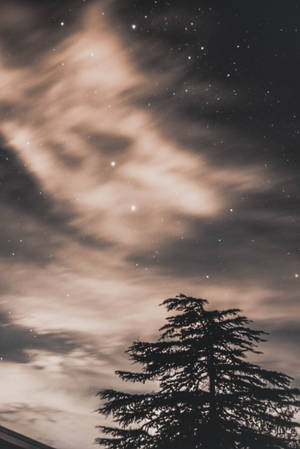樹的剪影，背景是繁星點點的夜空和發光的雲彩。 — 4K太空 壁紙