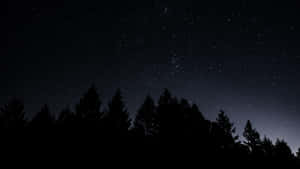 星空下，松樹剪影在靛藍漸變光芒中。 — 夜空 壁紙