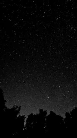 樹梢剪影上方的星空夜空 — 暗色 壁紙