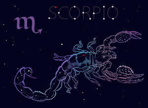 在黑暗天空中帶有發光輪廓和星星的天蠍座。