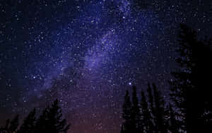 夜晚松樹剪影上方的銀河系 — 星星 壁紙