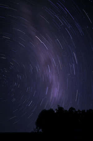 星軌在紫色夜空中劃過弧線，位於樹影上方。
