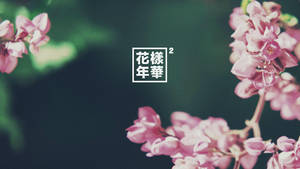在模糊的綠色背景上，粉紅花枝與方形框內的日文文字。