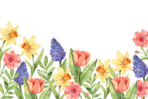 「春日繁花之美」 — 花卉動畫 壁紙