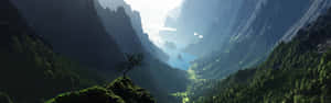 懸崖上的孤樹俯瞰有河流的山谷日出