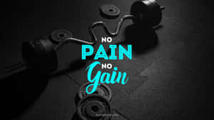 健身啞鈴上以青色文字寫著勵志名言「no pain no gain」。