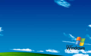 帶有 Microsoft Windows 標誌的藍天下綠色山丘