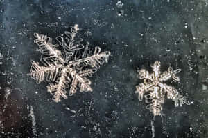 深色玻璃表面上的霜雪雪花 — 雪花 壁紙