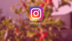 Instagram 應用程式標誌，背景為模糊的秋葉。