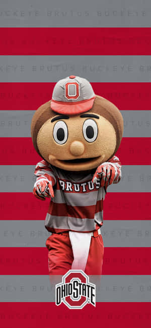 俄亥俄州立大學 Brutus Buckeye 吉祥物，身穿紅灰制服，帶有球隊標誌。
