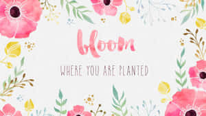 帶有單詞 bloom 和短語 where you are planted 的水彩花卉設計。