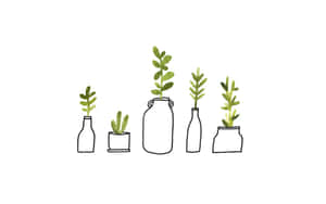 五個小盆栽植物，放在各種容器中，帶有綠色葉子，背景為白色。 — Mac GIF 壁紙