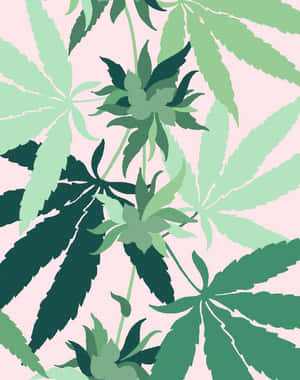 粉紅色背景上以綠色調繪製的大麻葉圖形插圖。