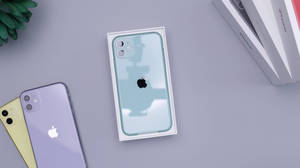 灰色桌上兩部iPhone及一部連盒iPhone，配綠色植物