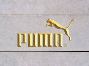 灰色石牆上的金色Puma品牌標誌