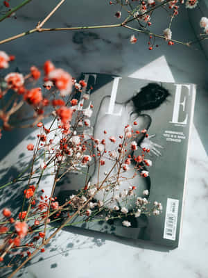 一本雜誌被乾花環繞，放在大理石表面上，陽光投下陰影。 — iPad Air 13 壁紙